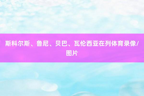 斯科尔斯、鲁尼、贝巴、瓦伦西亚在列体育录像/图片