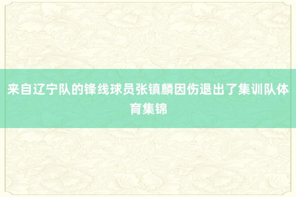 来自辽宁队的锋线球员张镇麟因伤退出了集训队体育集锦