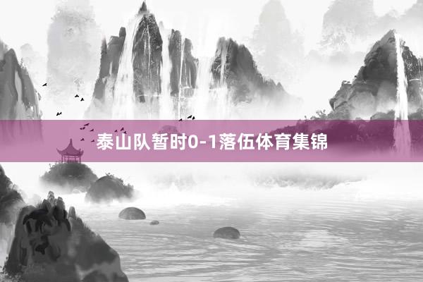 泰山队暂时0-1落伍体育集锦