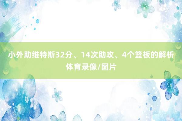 小外助维特斯32分、14次助攻、4个篮板的解析体育录像/图片