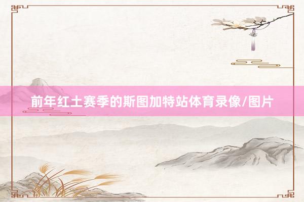 前年红土赛季的斯图加特站体育录像/图片